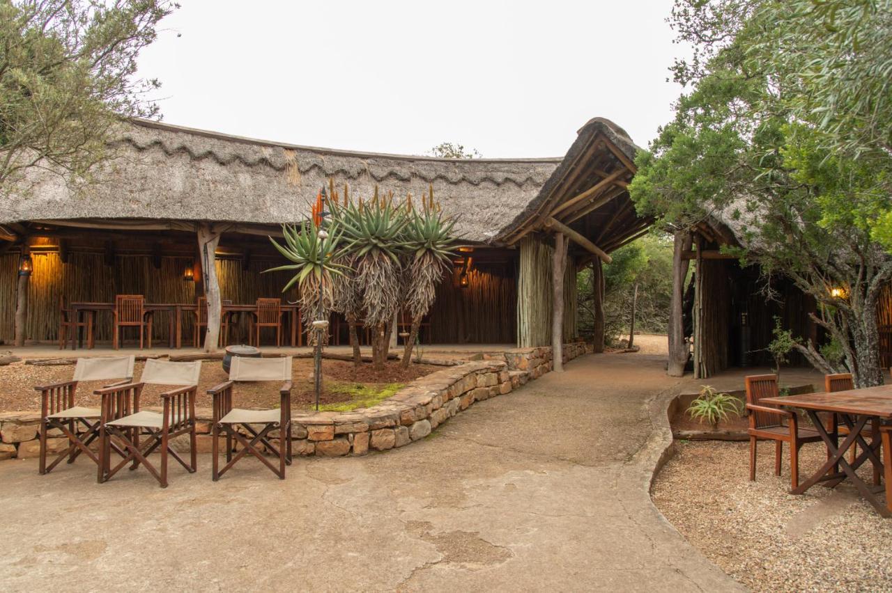 Pumba Private Game Reserve 그레이엄즈타운 외부 사진